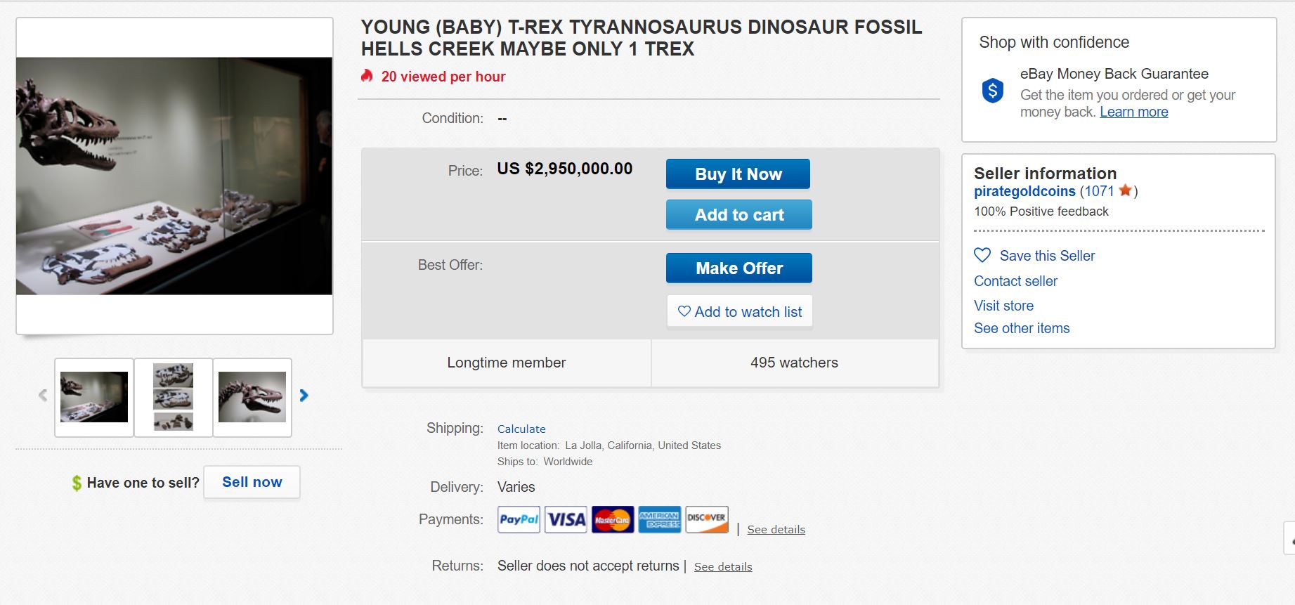 Baby T rex goes on sale on , sparking paleontologists' outcry